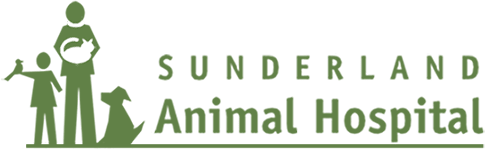 Sunderland Animal Hospital