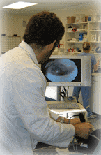 video otoscopy services offered at Sunderland Animal Hospital
