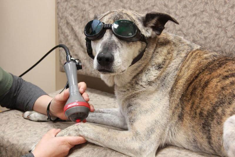 laser therapy