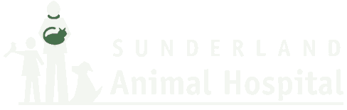 Sunderland Animal Hospital